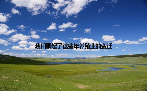 我们聊起了这些年养殖业的变迁