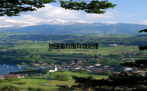 加强畜牧废弃物处理